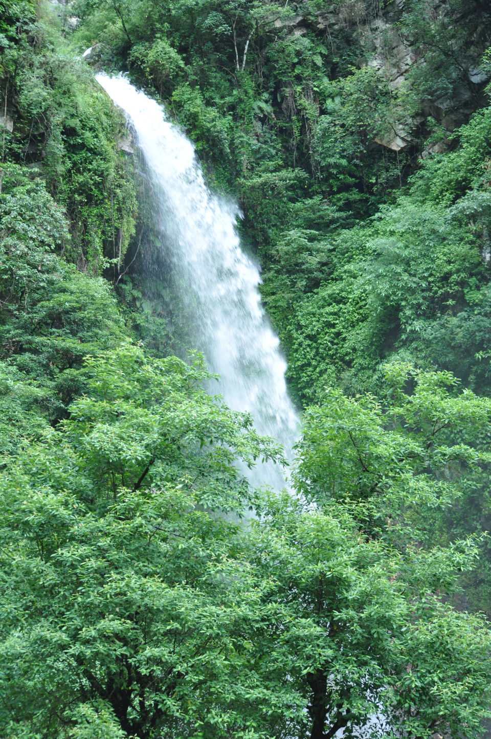 Photo of Chhoie Waterfall, Sharchi, Himachal Pradesh, India by The Wolf Girl
