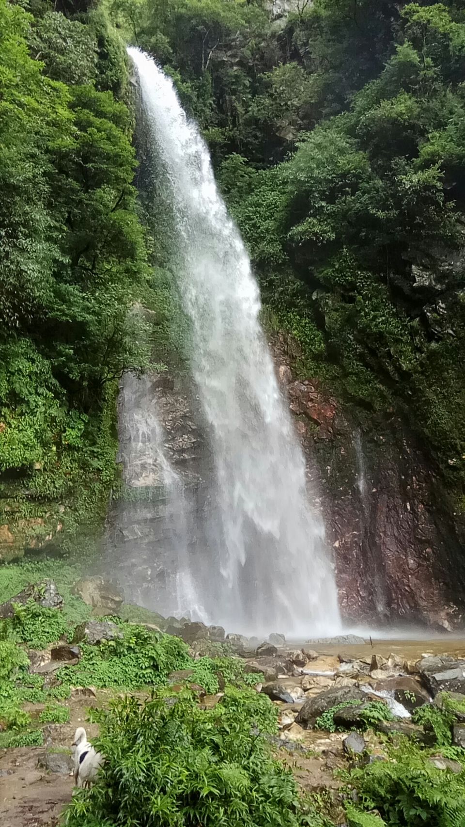 Photo of Chhoie Waterfall, Sharchi, Himachal Pradesh, India by The Wolf Girl