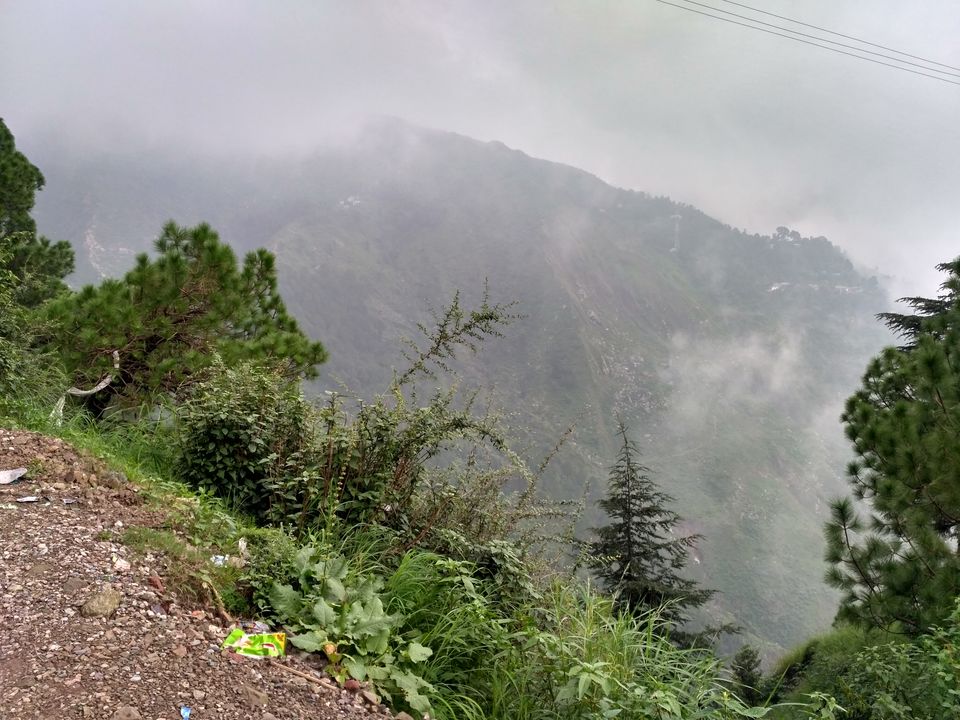 Photo of OYO 35461 Deodar Villa, Temple Road, Dharamshala, Himachal Pradesh, India by The Wolf Girl