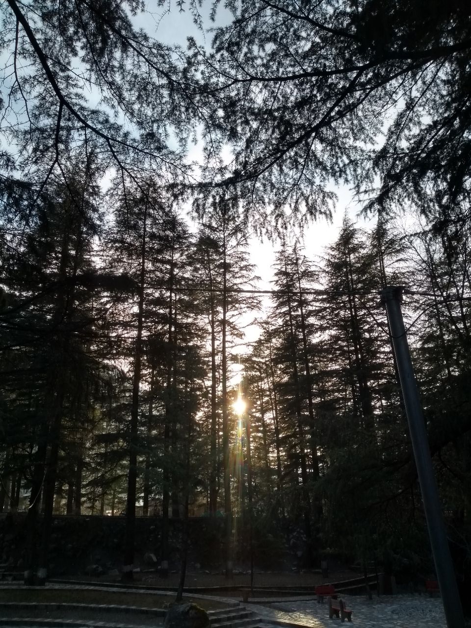Photo of Kasol, Himachal Pradesh, India by ANANYA DAS