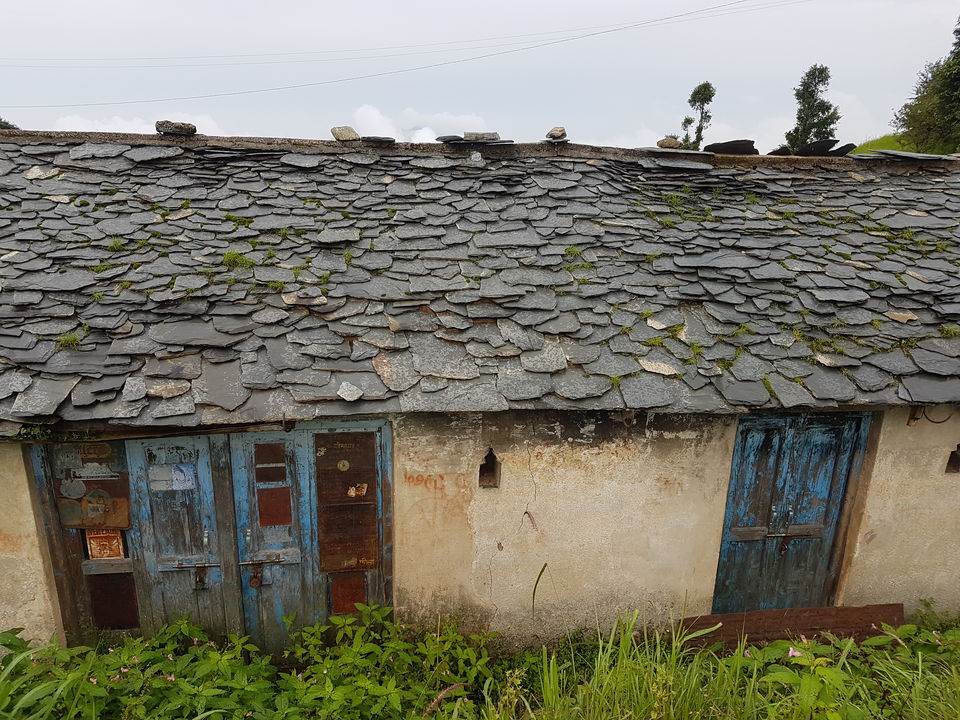Photo of 7 things an official trip to Kanatal taught me about life 1/1 by Sahil Vohra