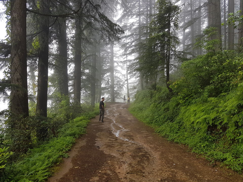 Photo of 7 things an official trip to Kanatal taught me about life by Sahil Vohra