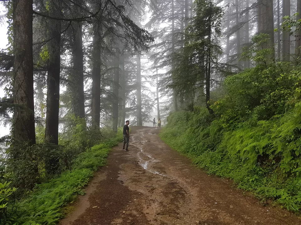 Photo of 7 things an official trip to Kanatal taught me about life by Sahil Vohra