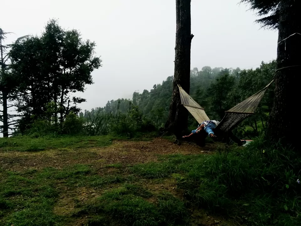 Photo of 7 things an official trip to Kanatal taught me about life by Sahil Vohra