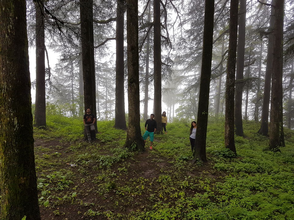 Photo of 7 things an official trip to Kanatal taught me about life by Sahil Vohra