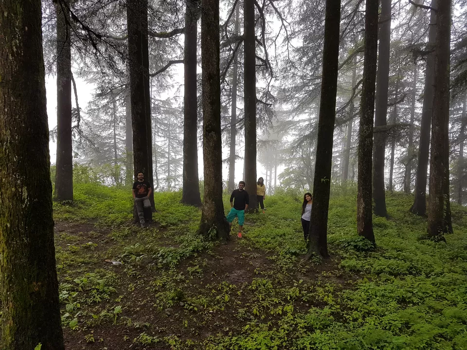 Photo of 7 things an official trip to Kanatal taught me about life by Sahil Vohra