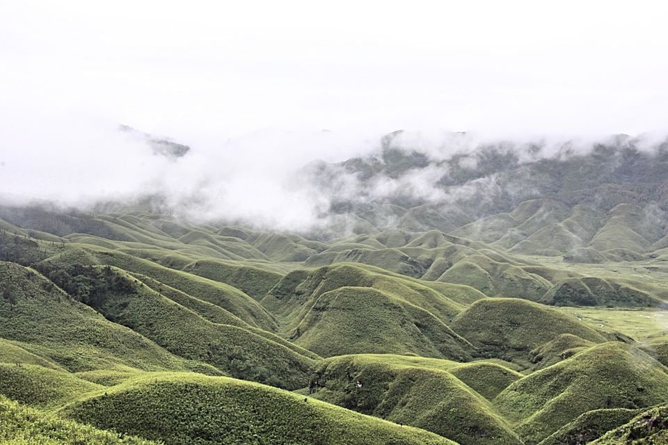 Photo of The Enchanting Valley of Dzukou #TravelGoal by Siddharth Ojah