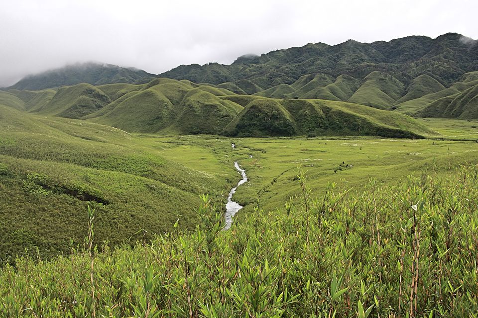 Photo of The Enchanting Valley of Dzukou #TravelGoal by Siddharth Ojah