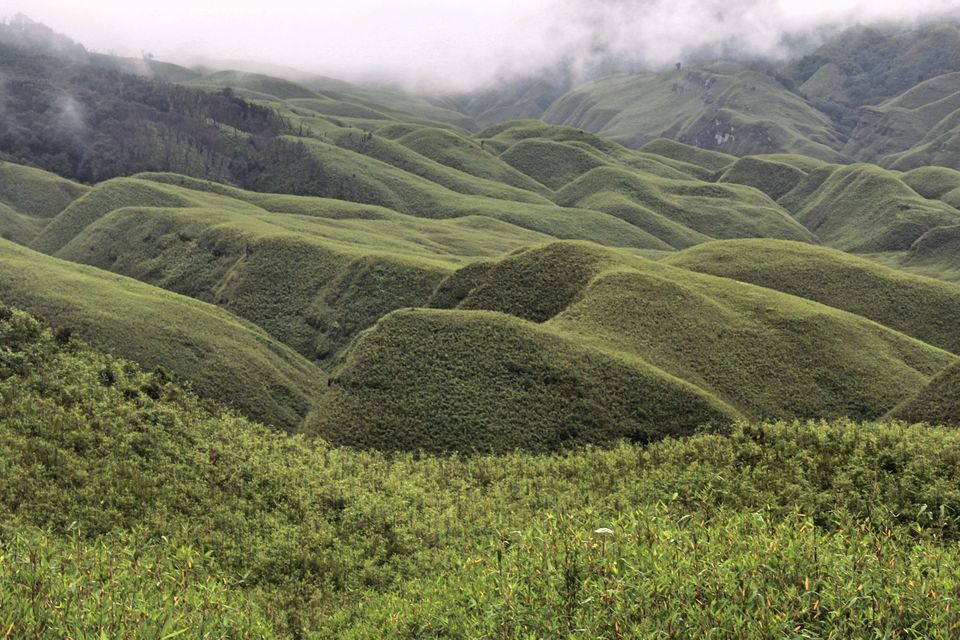 Photo of The Enchanting Valley of Dzukou #TravelGoal by Siddharth Ojah