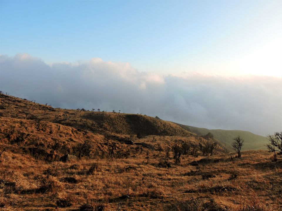 Photo of Chronicles of North-East: Sandakphu – Gurdum Trek 10/60 by Ashar