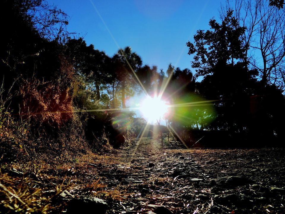 Photo of A mesmerising backpacking trip – 5 days in Kasauli 10/17 by Ashar