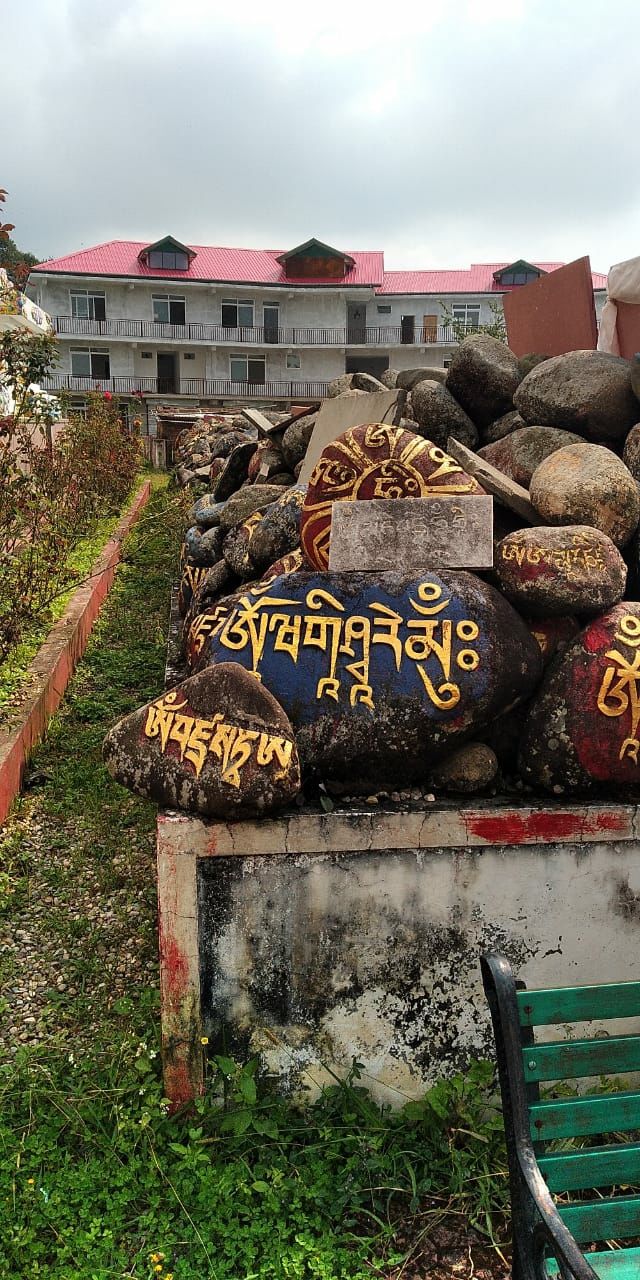 Photo of Bir Billing: The Ultimate Guide to all the things #MyWanderlustStory by Animesh Srivastava