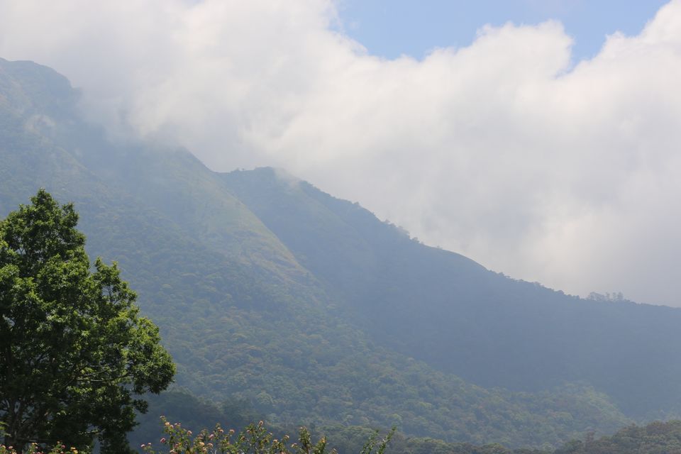 Photo of Munnar by Shashidhar Reddy