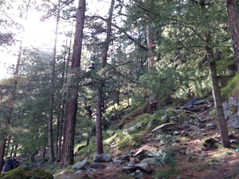 Photo of Kasol : A solo trip in the Himalayan Valley 12/35 by Aayush Shrut