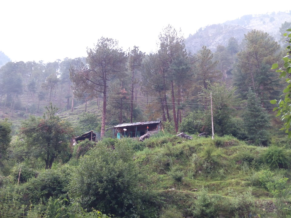 Photo of Kasol : A solo trip in the Himalayan Valley 27/35 by Aayush Shrut