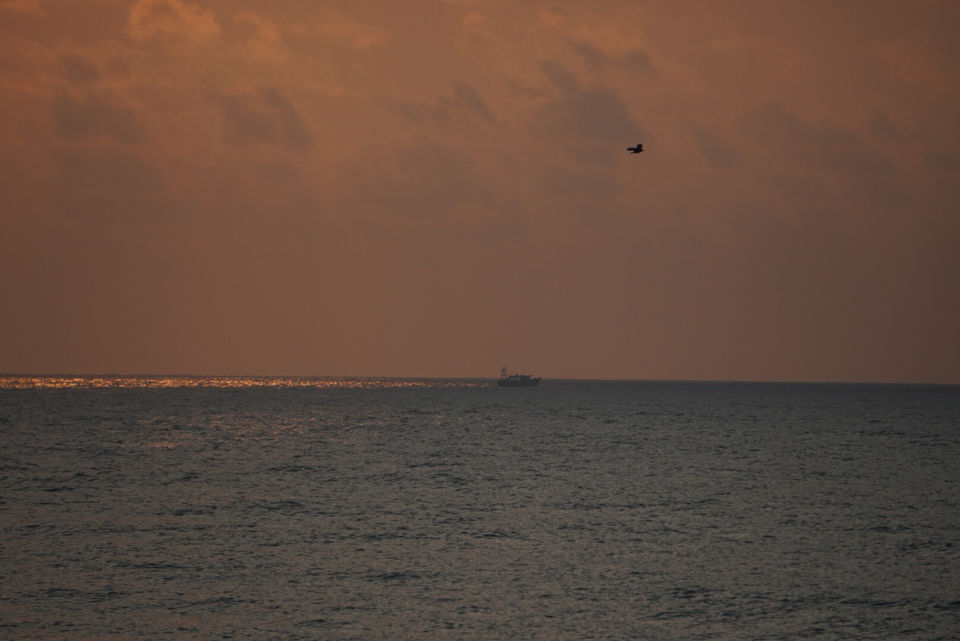 Photo of Tamilnadu Coastline - 1000 Kms by FunWithAsh