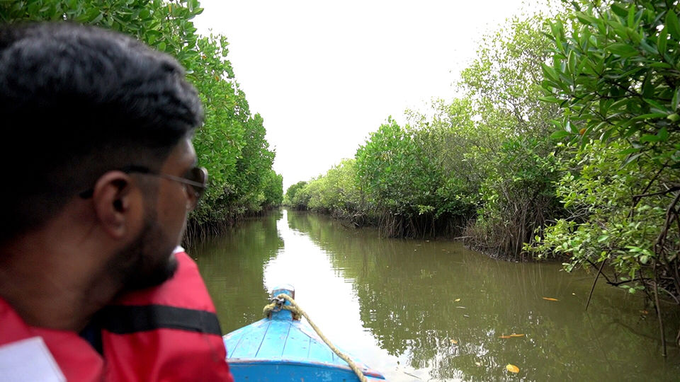 Photo of Tamilnadu Coastline - 1000 Kms by FunWithAsh