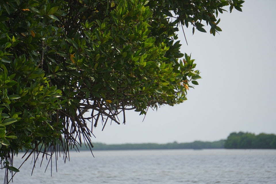 Photo of Tamilnadu Coastline - 1000 Kms by FunWithAsh