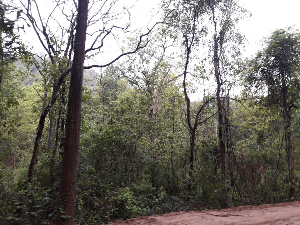 Photo of Putudi Waterfall, Sesakera, Odisha, India by Tanmoy Moulik