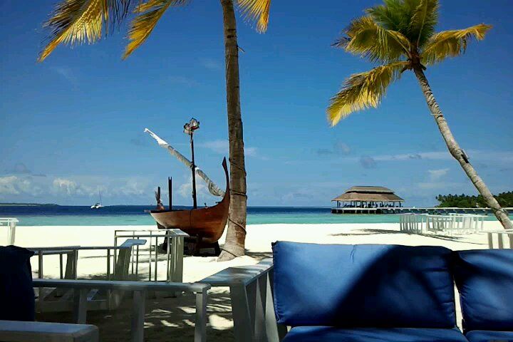 Photo of Hanifaru, Baa Atoll, North Province, Maldives by Kanksha Mehta