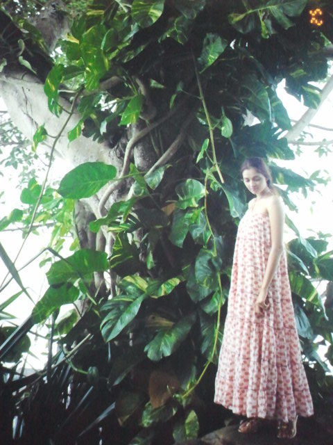 Photo of Postcards from Sri Lanka 6/17 by Kanksha Mehta
