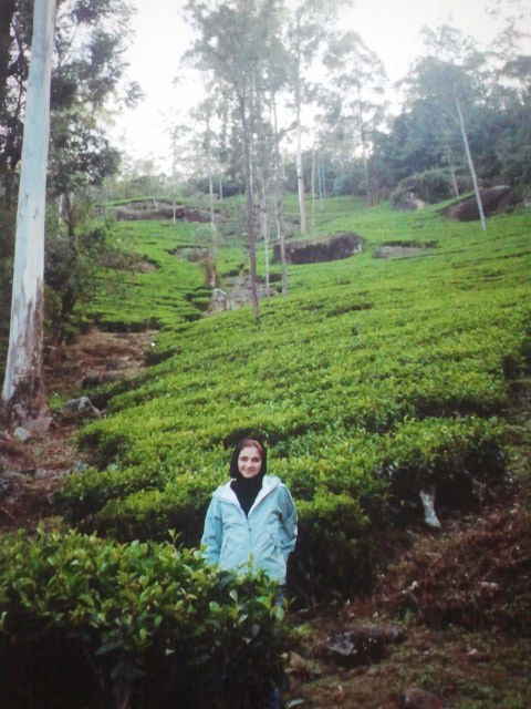 Photo of Postcards from Sri Lanka 13/17 by Kanksha Mehta
