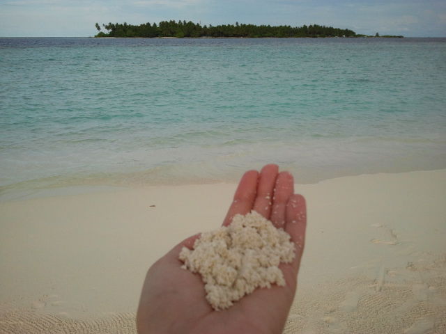 Photo of Maldives: Journey to the last paradise on Earth 17/27 by Kanksha Mehta