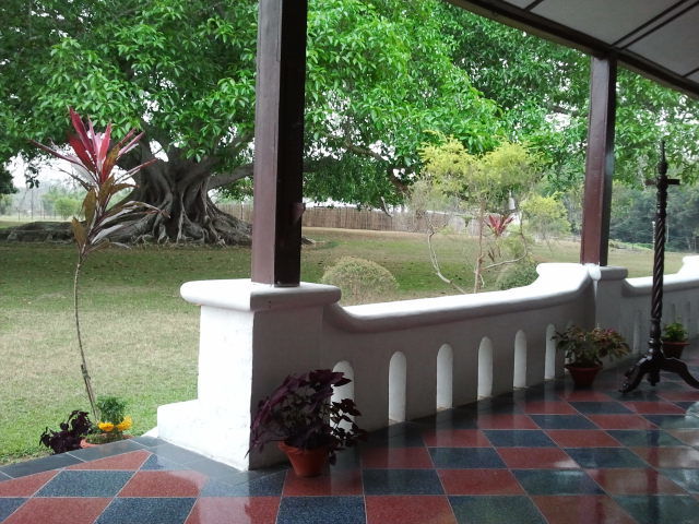 Photo of Press trip: Heritage Assam 18/45 by Kanksha Mehta