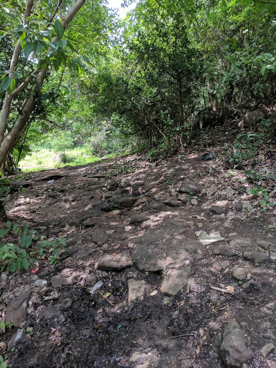 Photo of Why Getting Lost is never a Waste of Time - Ananthagiri Hills 6/16 by Ananiah Blessing