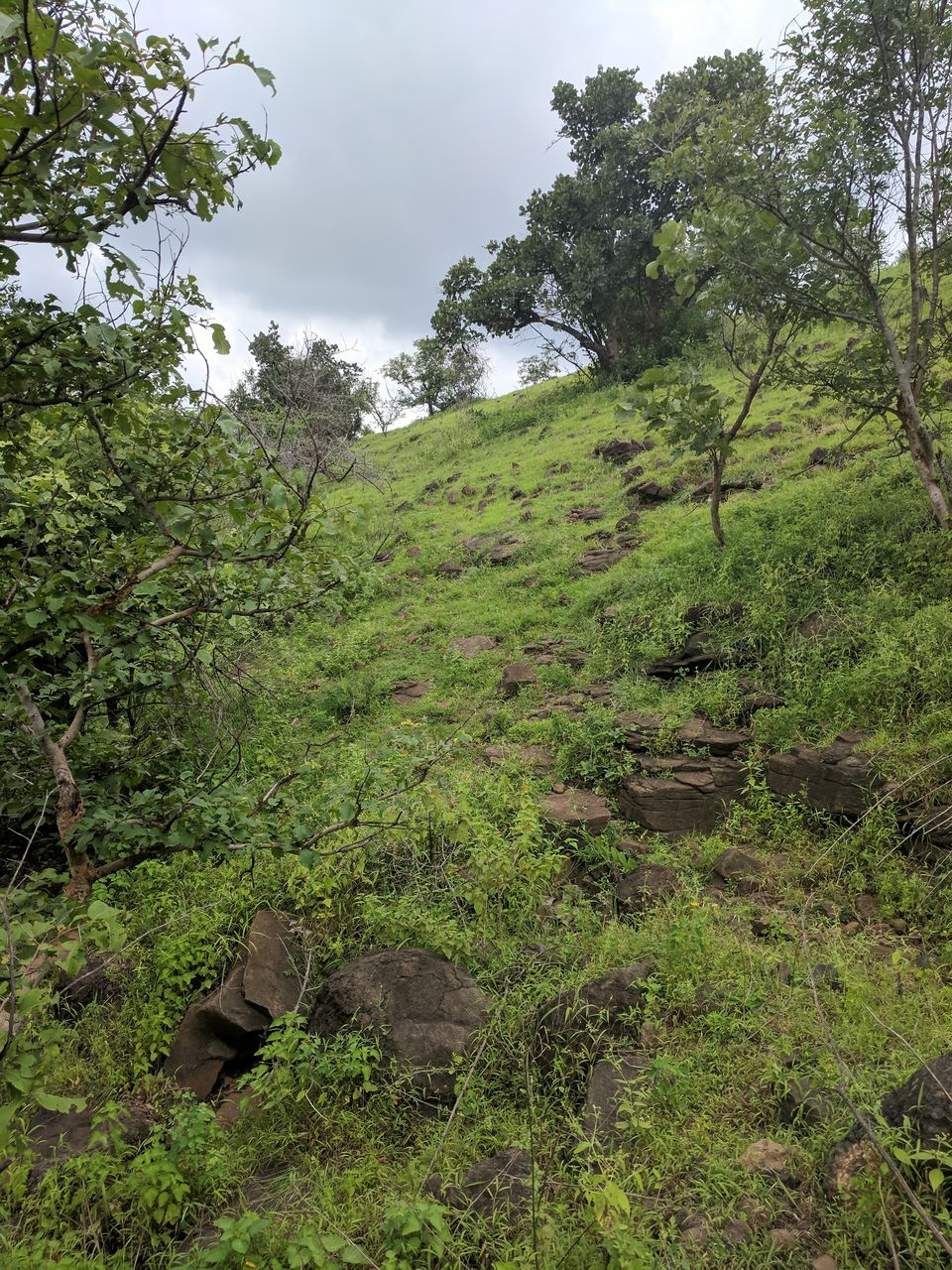 Photo of Why Getting Lost is never a Waste of Time - Ananthagiri Hills 13/16 by Ananiah Blessing