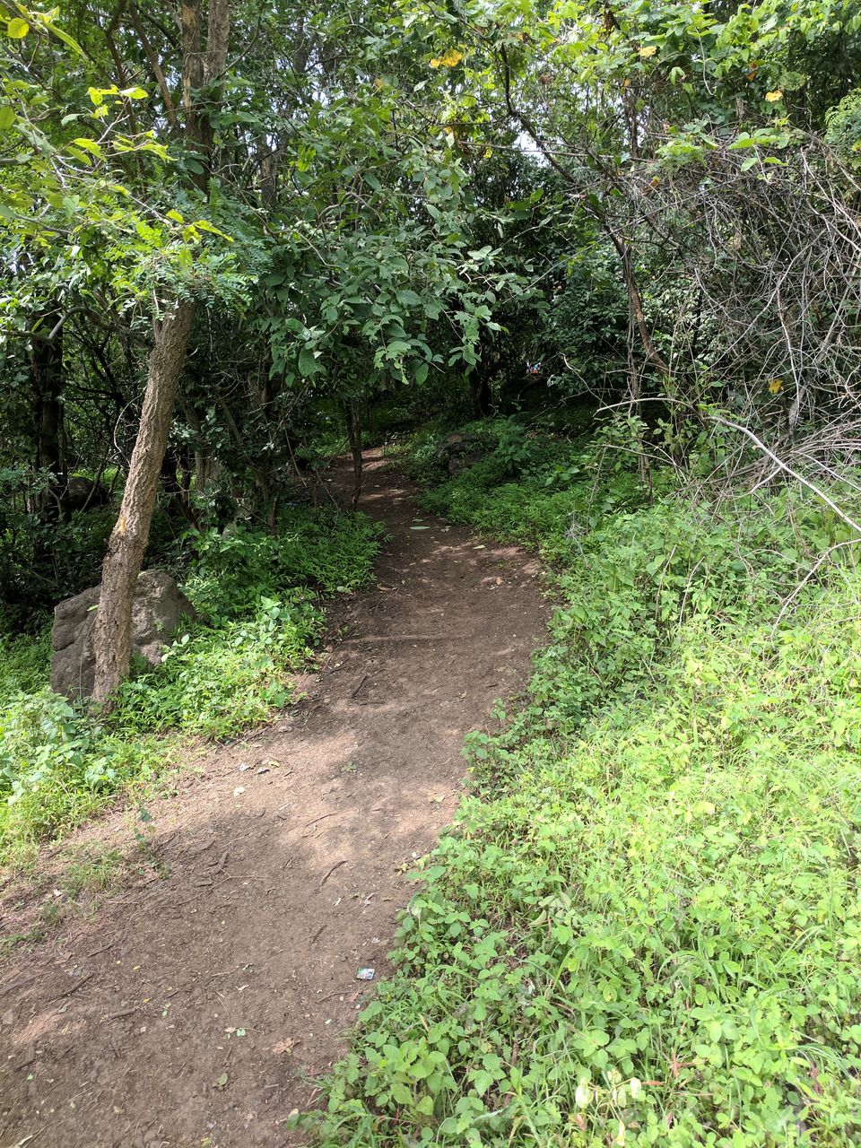 Photo of Why Getting Lost is never a Waste of Time - Ananthagiri Hills 7/16 by Ananiah Blessing