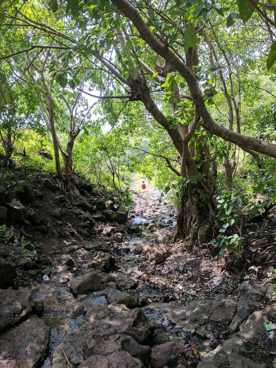 Photo of Why Getting Lost is never a Waste of Time - Ananthagiri Hills 5/16 by Ananiah Blessing