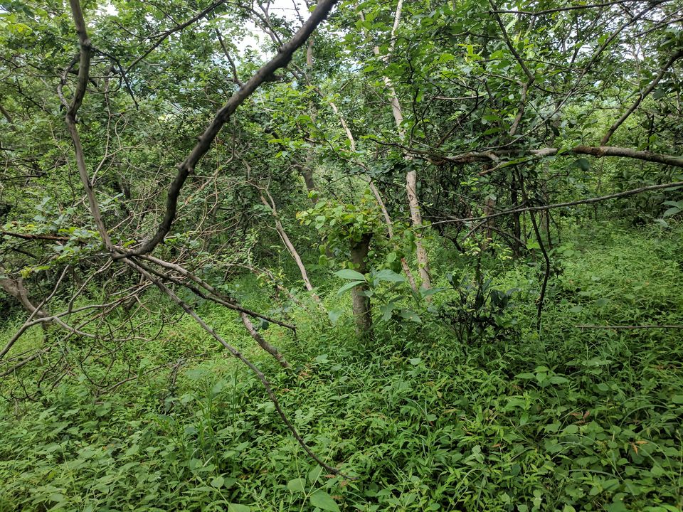 Photo of Why Getting Lost is never a Waste of Time - Ananthagiri Hills 11/16 by Ananiah Blessing