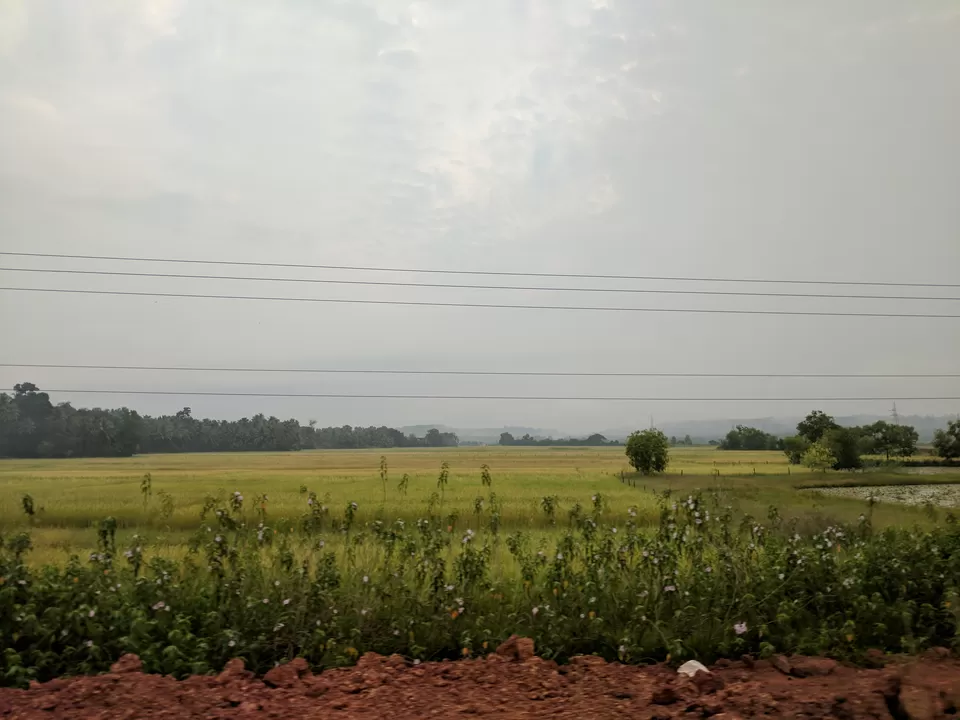 Photo of Hanging Bridge, Karki, Karnataka, India by Ananiah Blessing