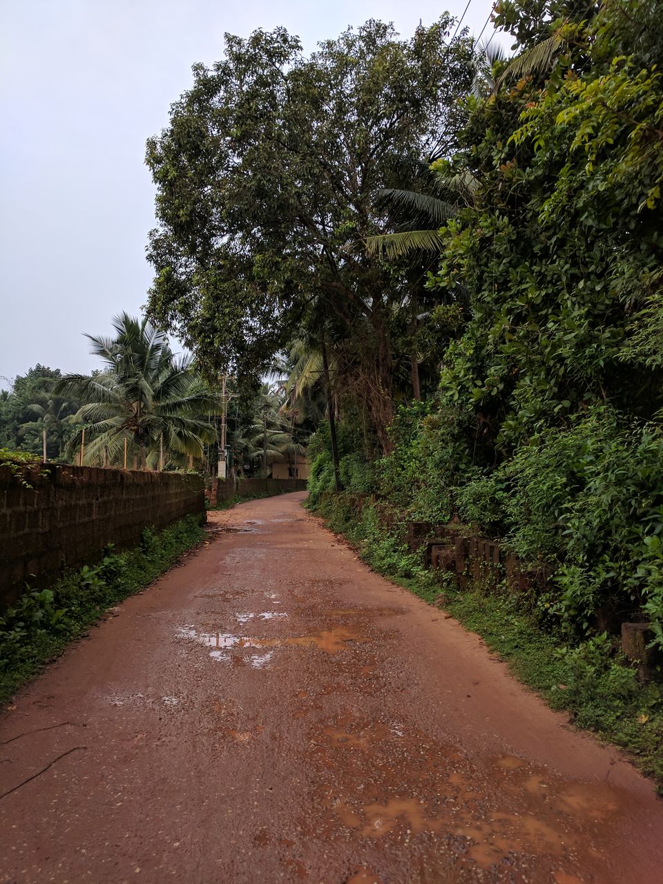 Photo of Hanging Bridge, Karki, Karnataka, India by Ananiah Blessing