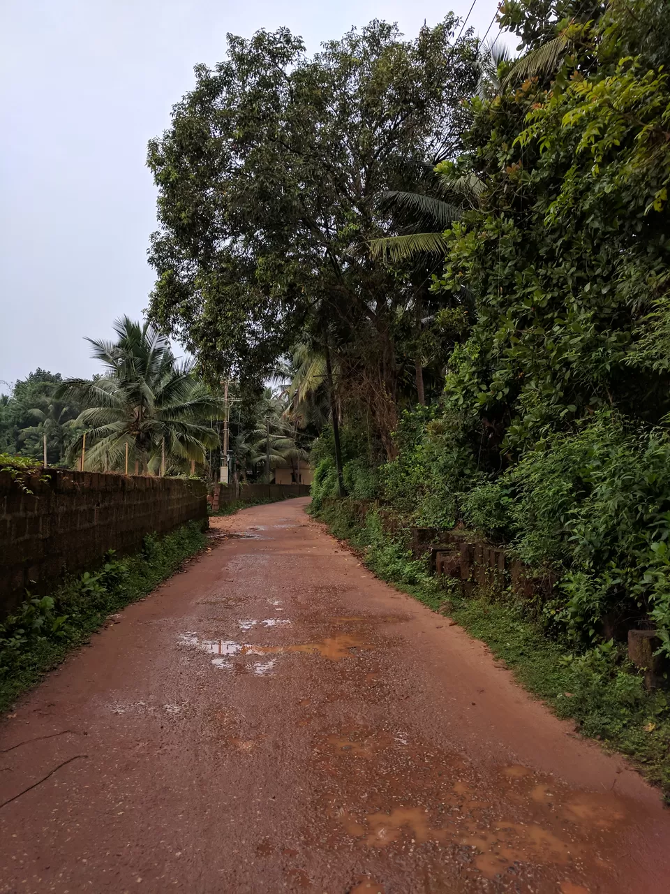 Photo of Hanging Bridge, Karki, Karnataka, India by Ananiah Blessing