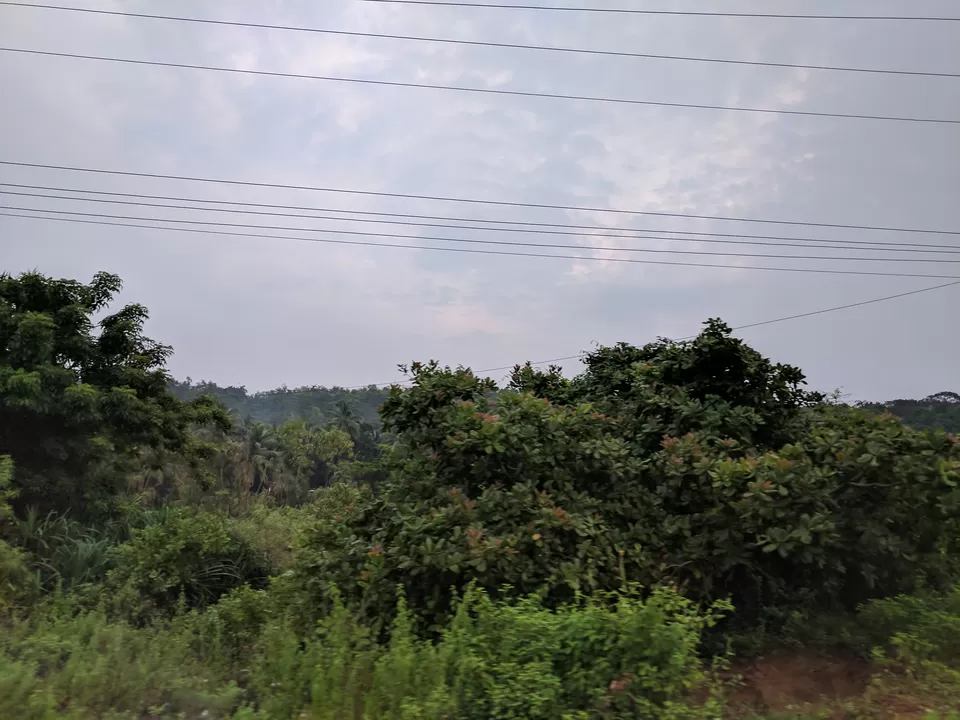 Photo of Hanging Bridge, Karki, Karnataka, India by Ananiah Blessing