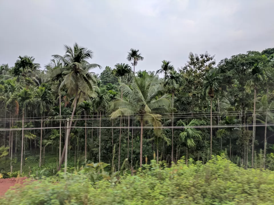 Photo of Hanging Bridge, Karki, Karnataka, India by Ananiah Blessing