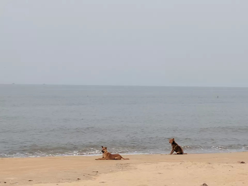 Photo of Beach Trek to Gokarna by Ananiah Blessing