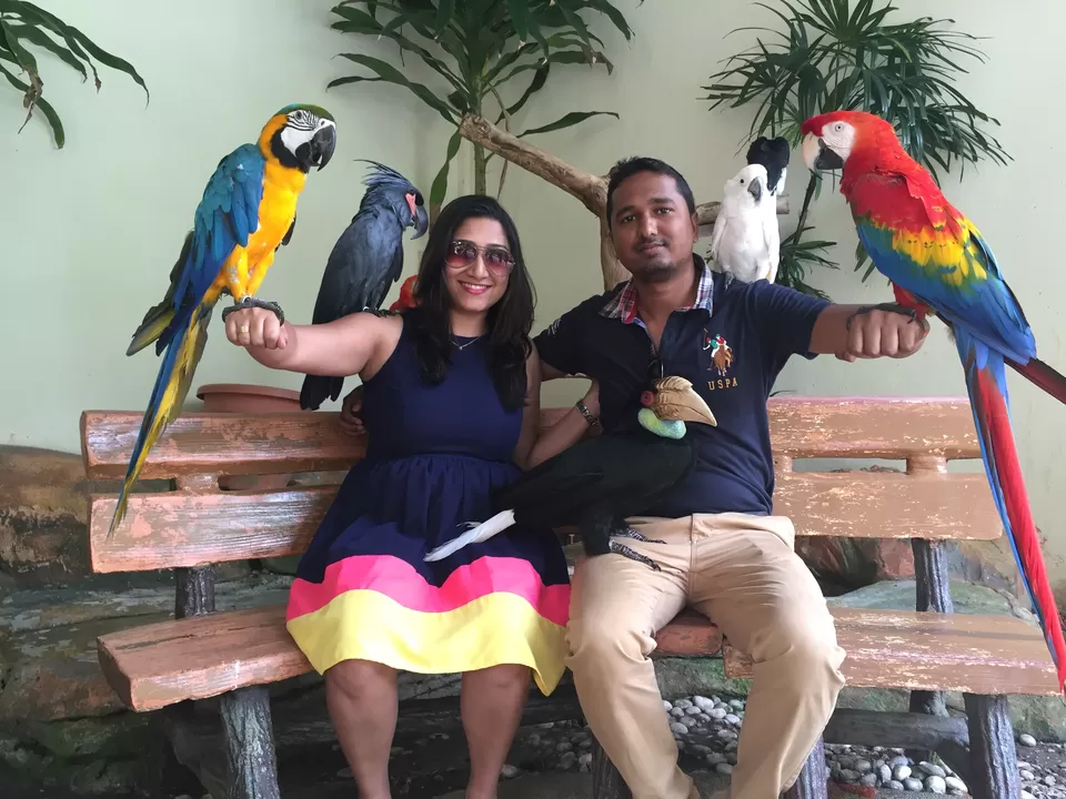 Photo of Kl Bird Park, KL Bird Park, 920, Jalan Cenderawasih, 50480 Kuala Lumpur, Malaysia by Naive Blue