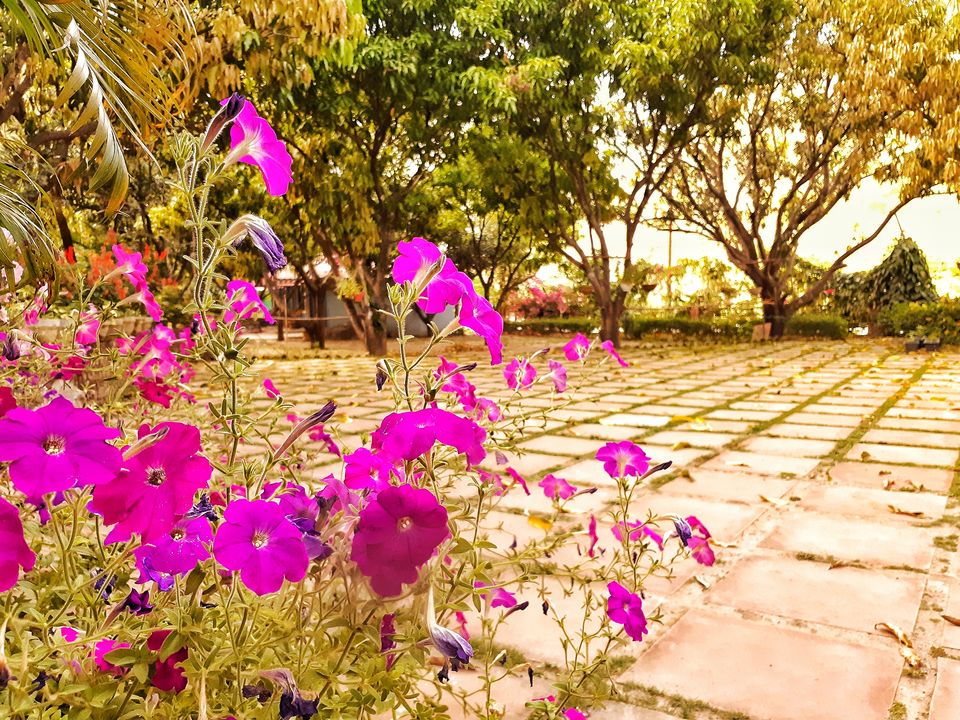 Photo of A Hidden Gem residing little away from Rishikesh!! by Shivam Mishra (travellerjunkies)