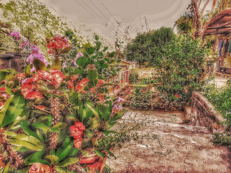 Photo of A Hidden Gem residing little away from Rishikesh!! by Shivam Mishra (travellerjunkies)