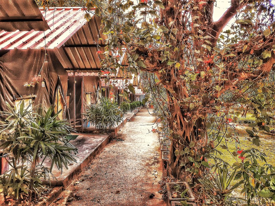 Photo of A Hidden Gem residing little away from Rishikesh!! by Shivam Mishra (travellerjunkies)