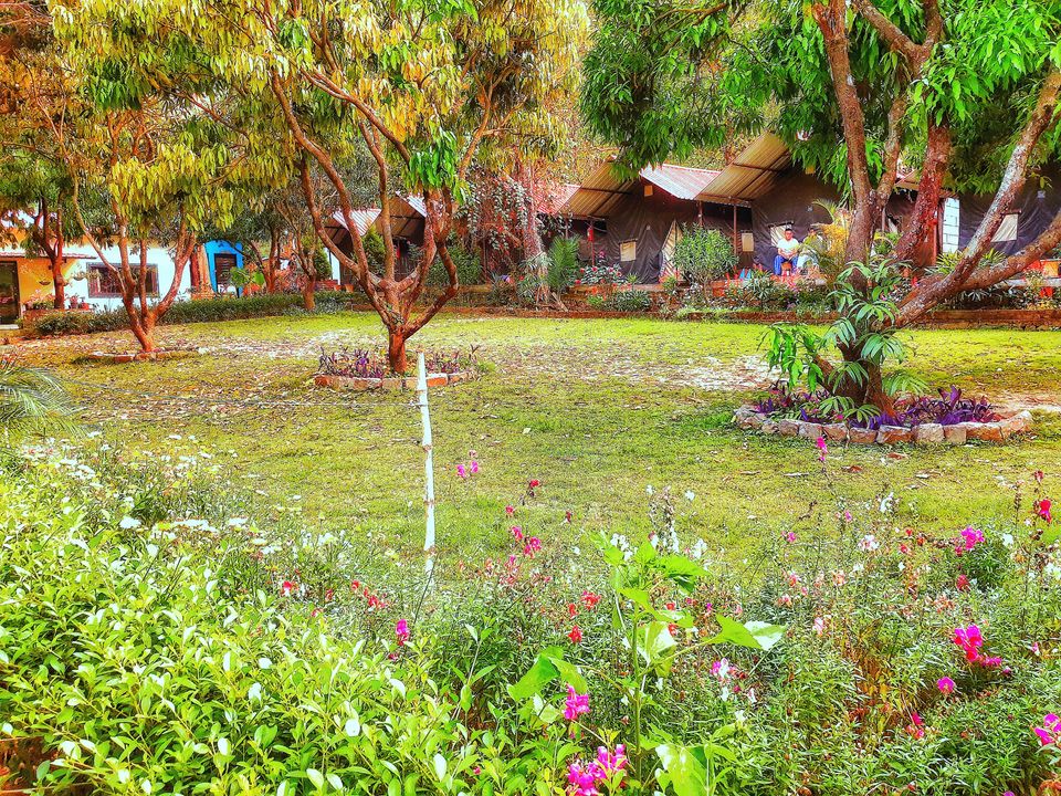Photo of A Hidden Gem residing little away from Rishikesh!! by Shivam Mishra (travellerjunkies)
