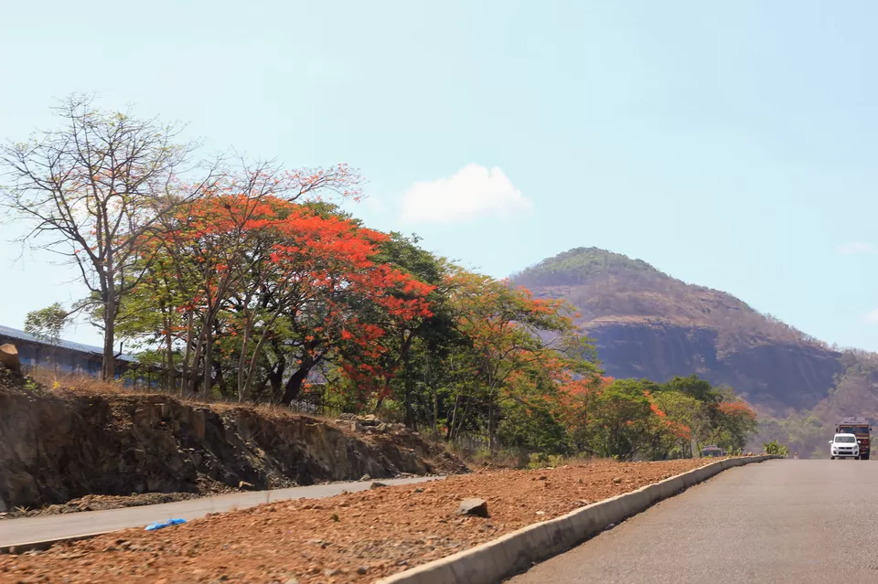 Photo of Mahabaleshwar - Photo Itinerary of A Roadtrip #notinnorth by Arindam and Pawnita
