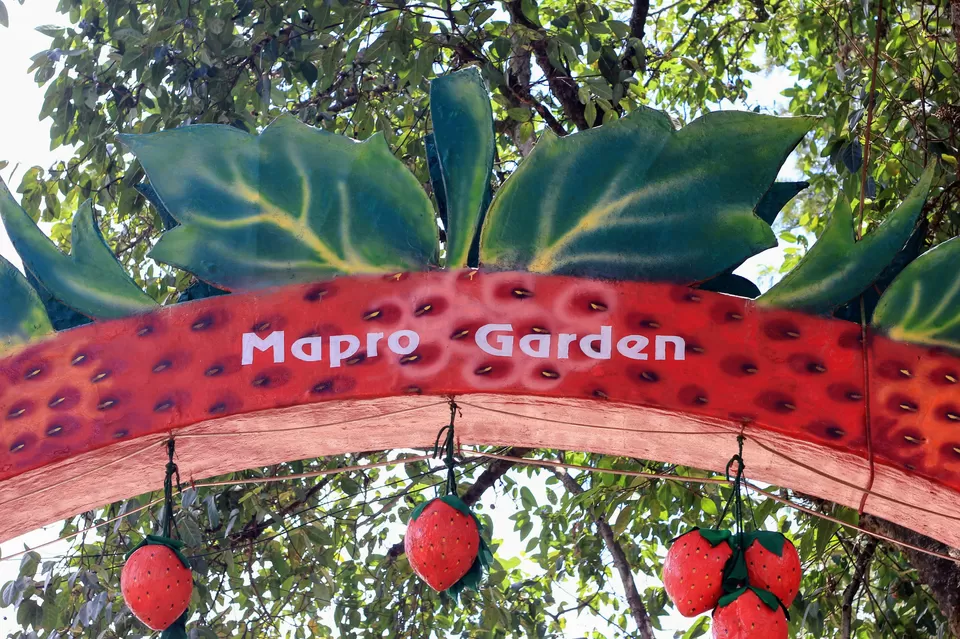Photo of Mapro Garden, Mahabaleswar, महाराष्ट्र, भारत by Arindam and Pawnita