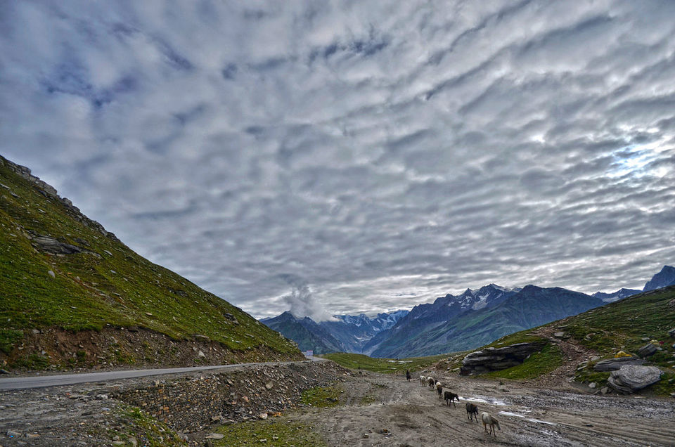 Photo of Trip to Himachal. 6/23 by akash