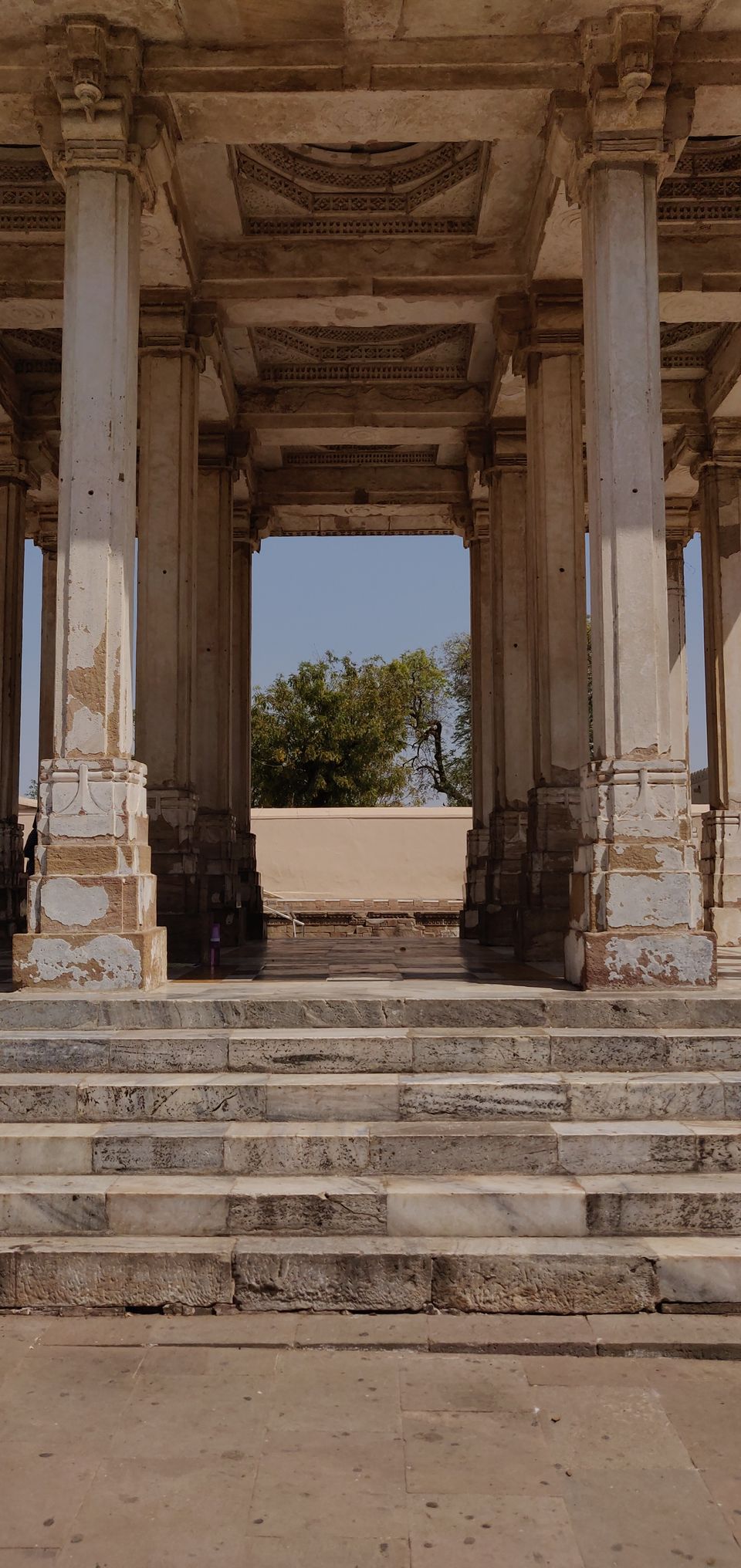 Photo of Sarkhej Roza (the living monument) 1/10 by akash