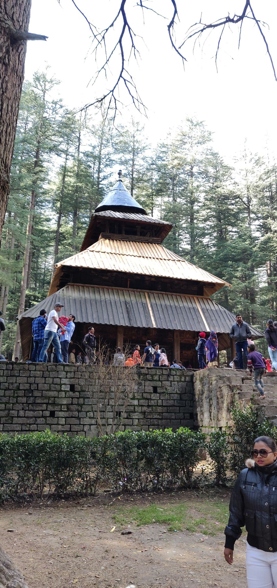 Photo of Seek for Himalayas? I have got better options :) 9/34 by akash
