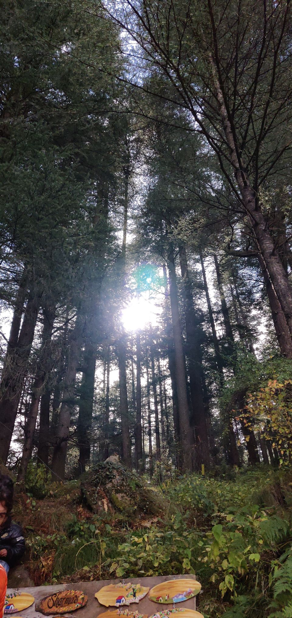Photo of Seek for Himalayas? I have got better options :) 33/34 by akash